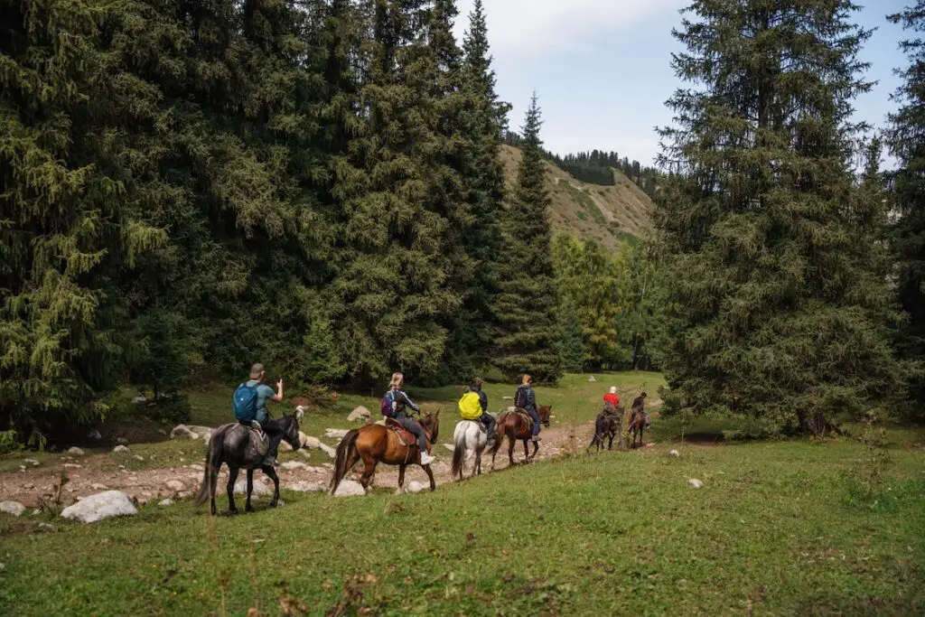 Horse in karakol