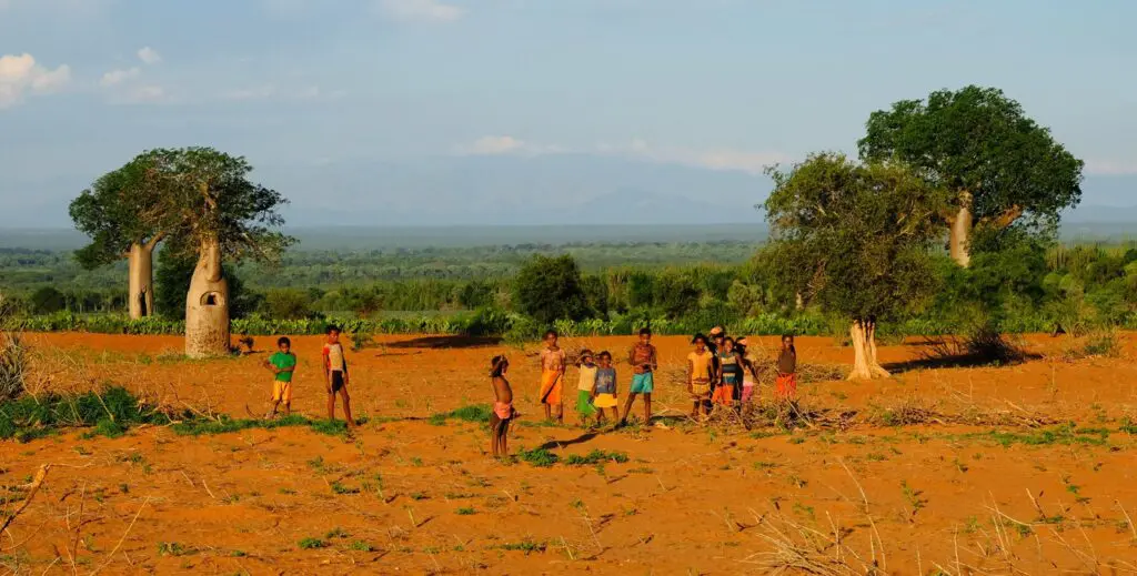 Paysage de terre orange Madagascar, baobab, voyage Madagascar