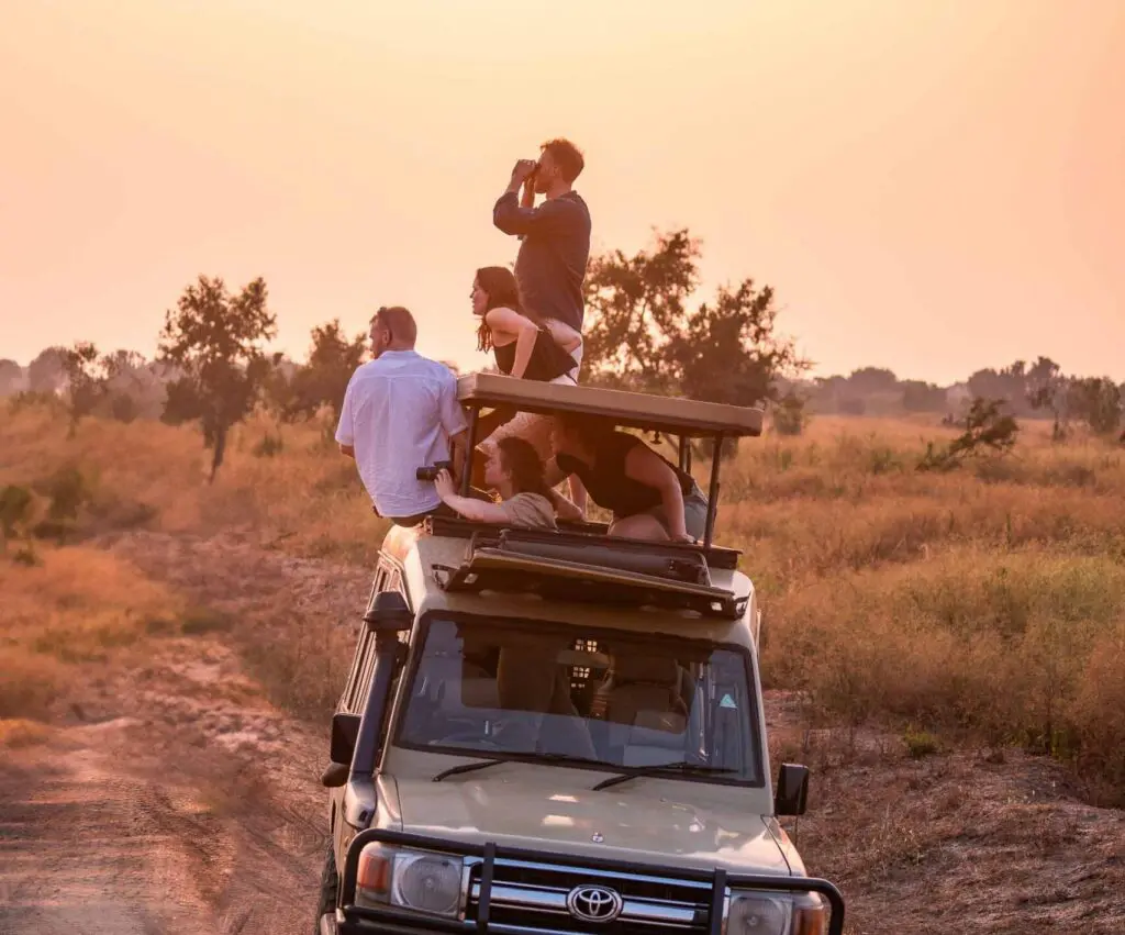 Safari en Ouganda : groupe de voyageurs dans un 4x4 observant la faune environnante avec un coucher de soleil