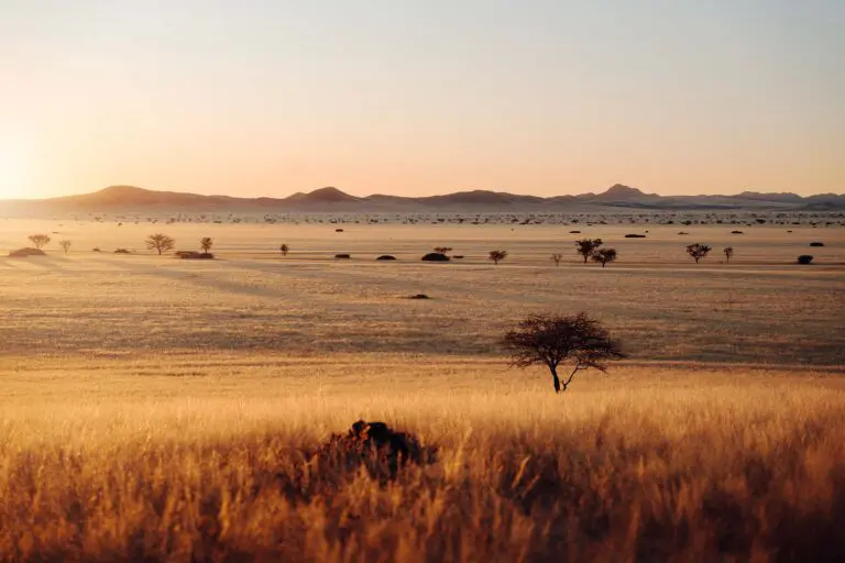 paysage Namibie, savane, Road trip en Namibie