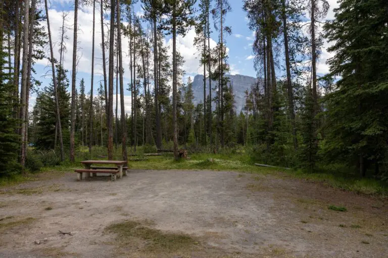 empty campsite with picnic table in a pine forest with mountains