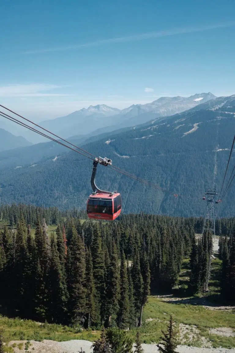 red gondola over a vast forest and mountains