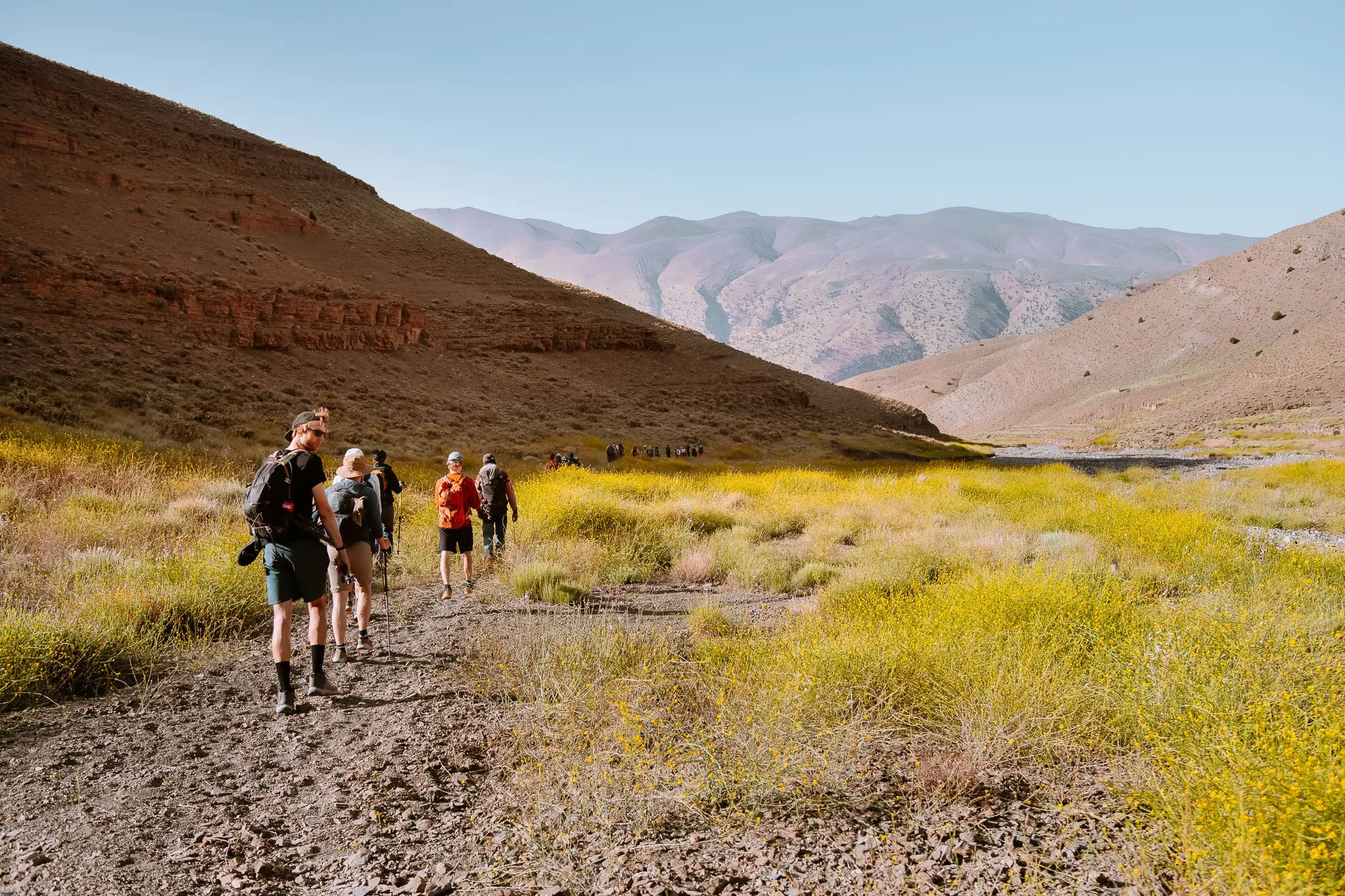 group of hikers walking through a yellow flower valley in the Atlas Mountains