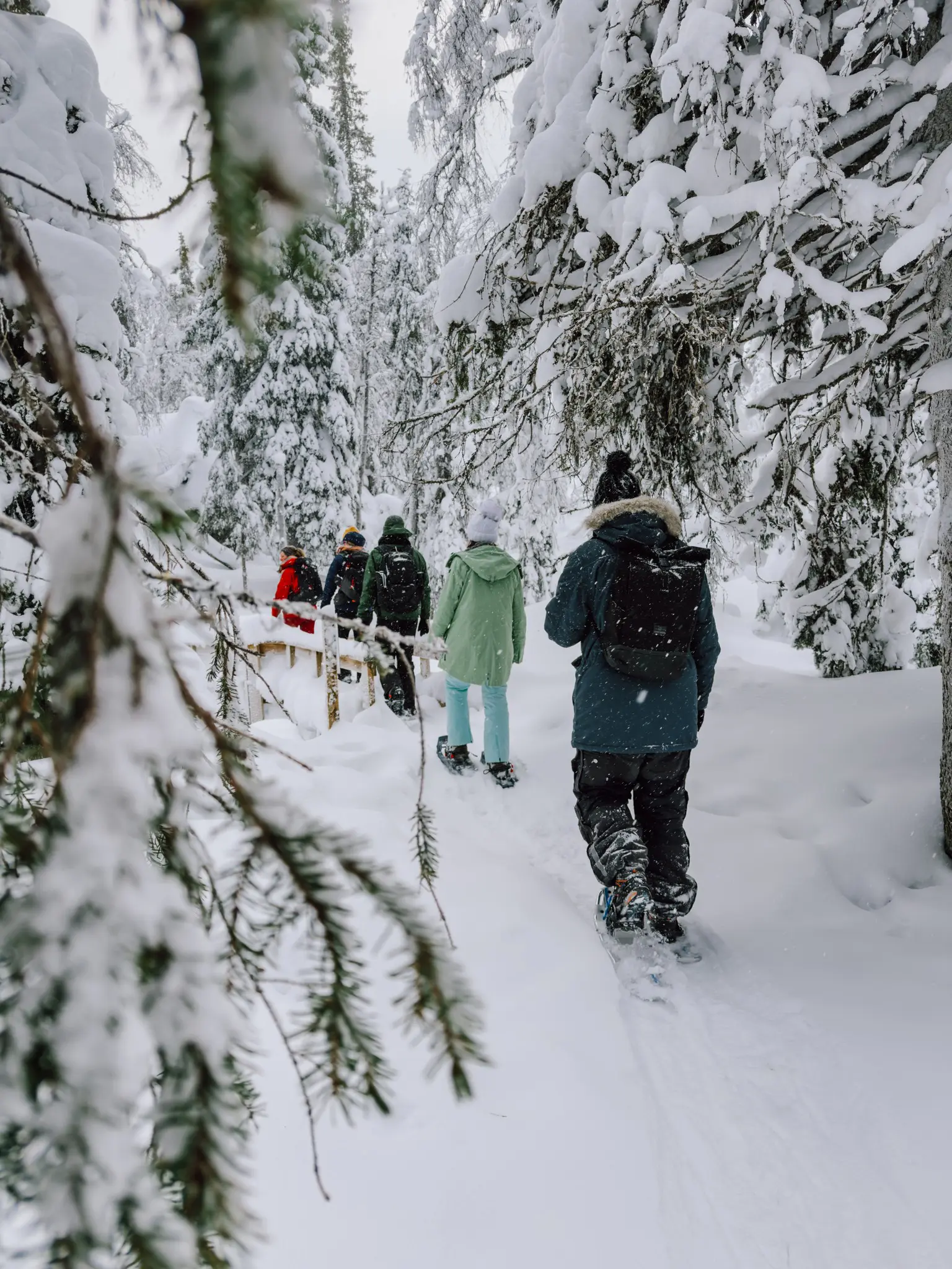 group snowshoeing through a snowy forest in Lapland