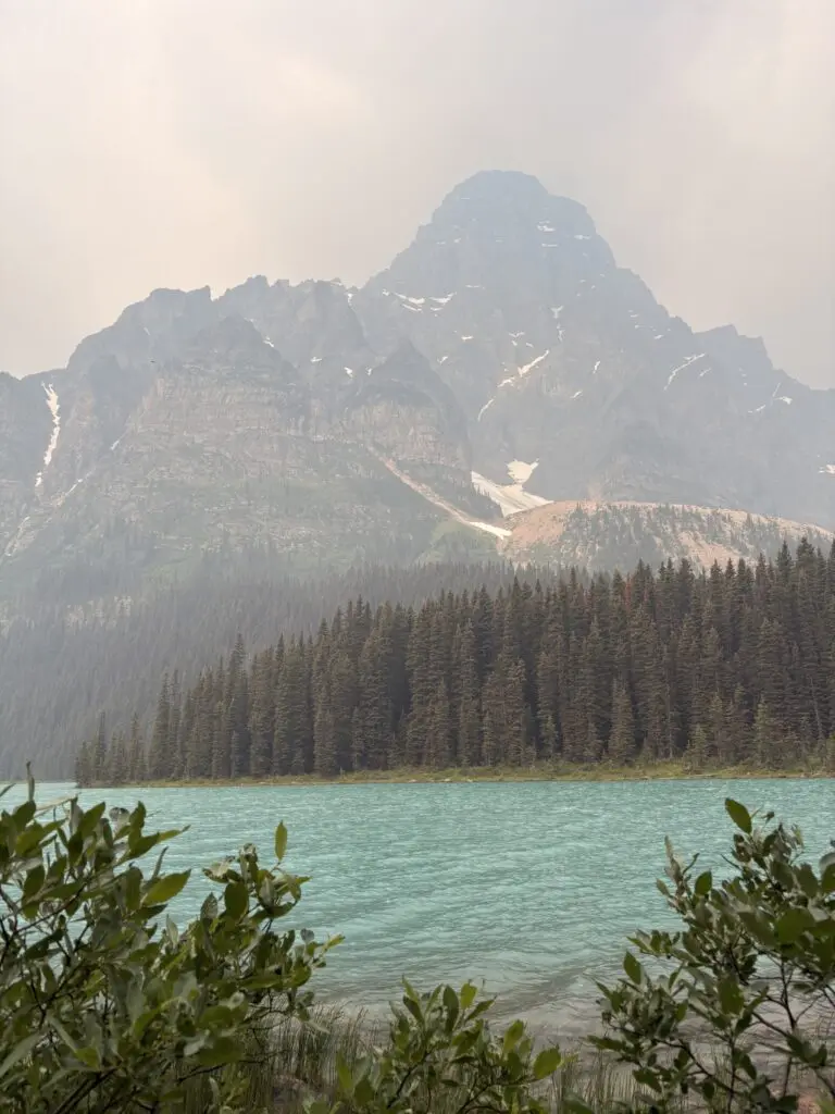 turquoise lake with pine forest and smoky mountains in Canada