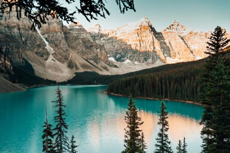 Moraine Lake with mountains and pine trees at sunset