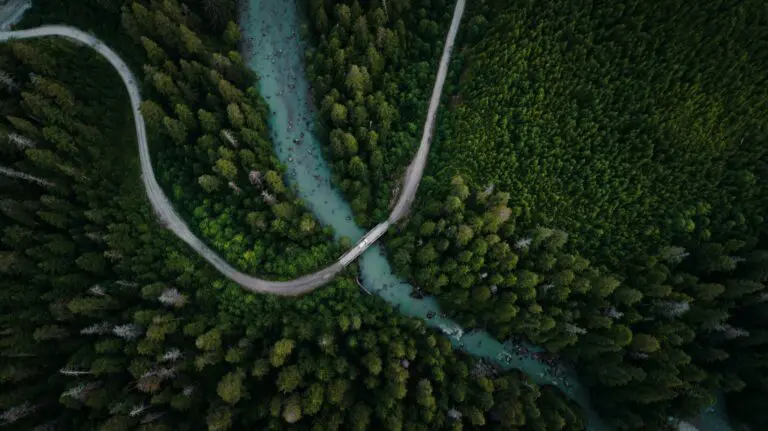aerial view of winding road, river, and dense forest in Canada