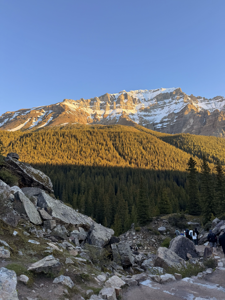 hikers on a rocky trail with a forest and snowy mountains