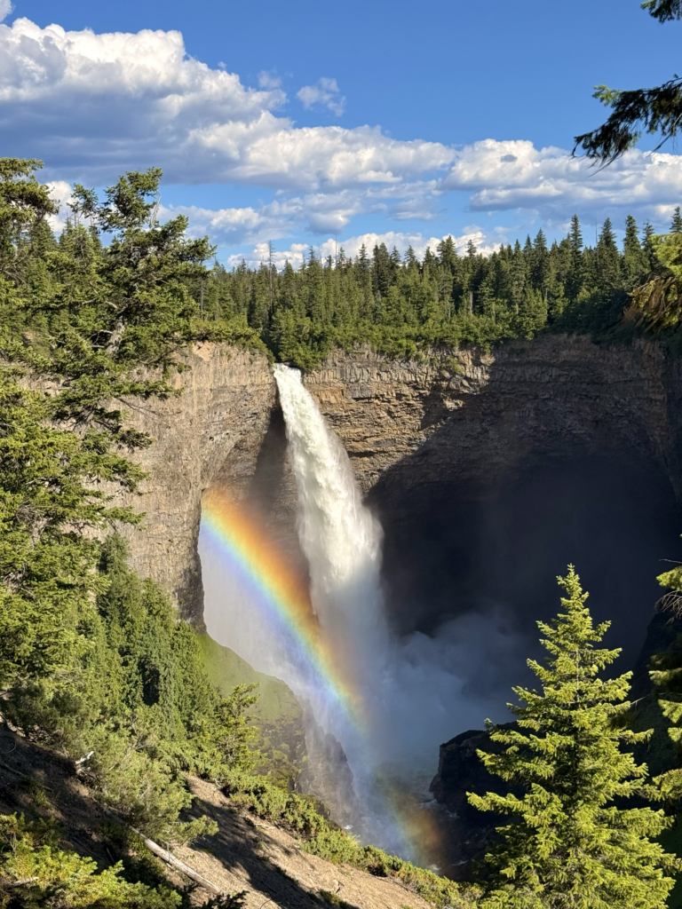 waterfall with rainbow in a forest canyon