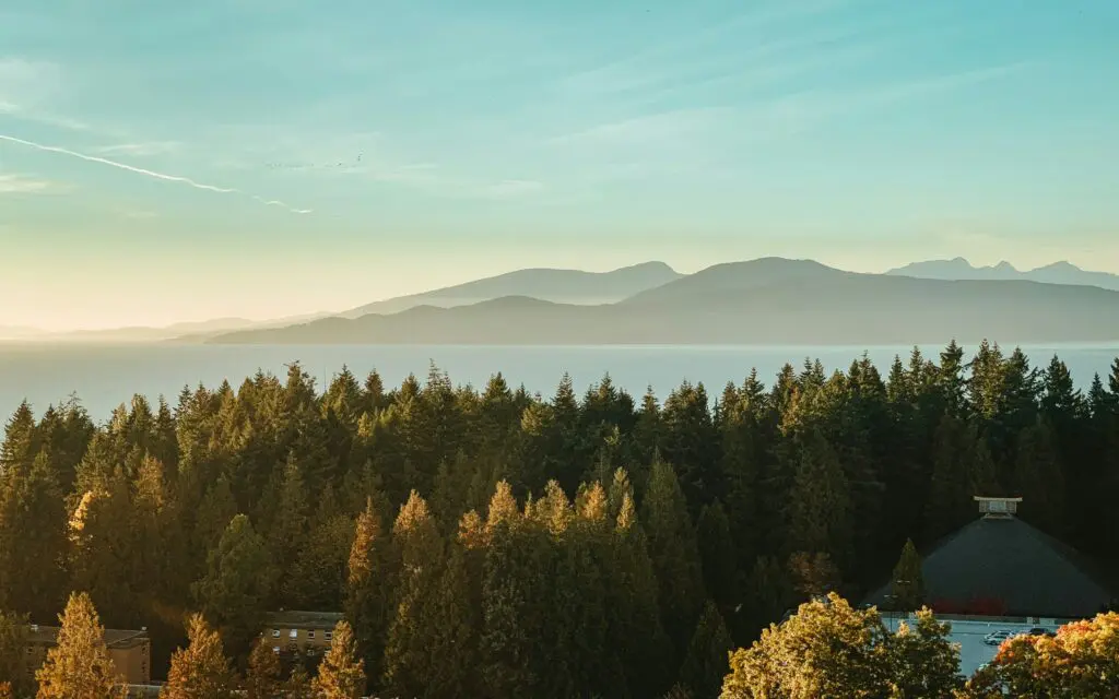 forest and ocean with mountains in the distance at sunset