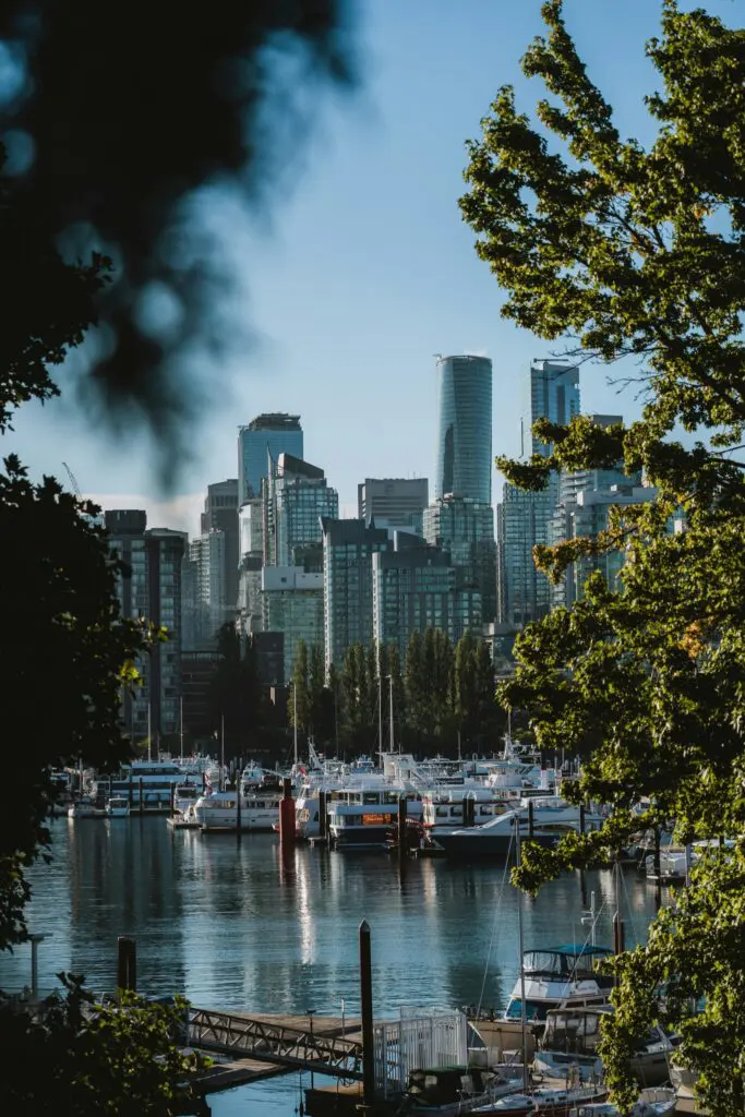 Vancouver city skyline and marina framed by green trees