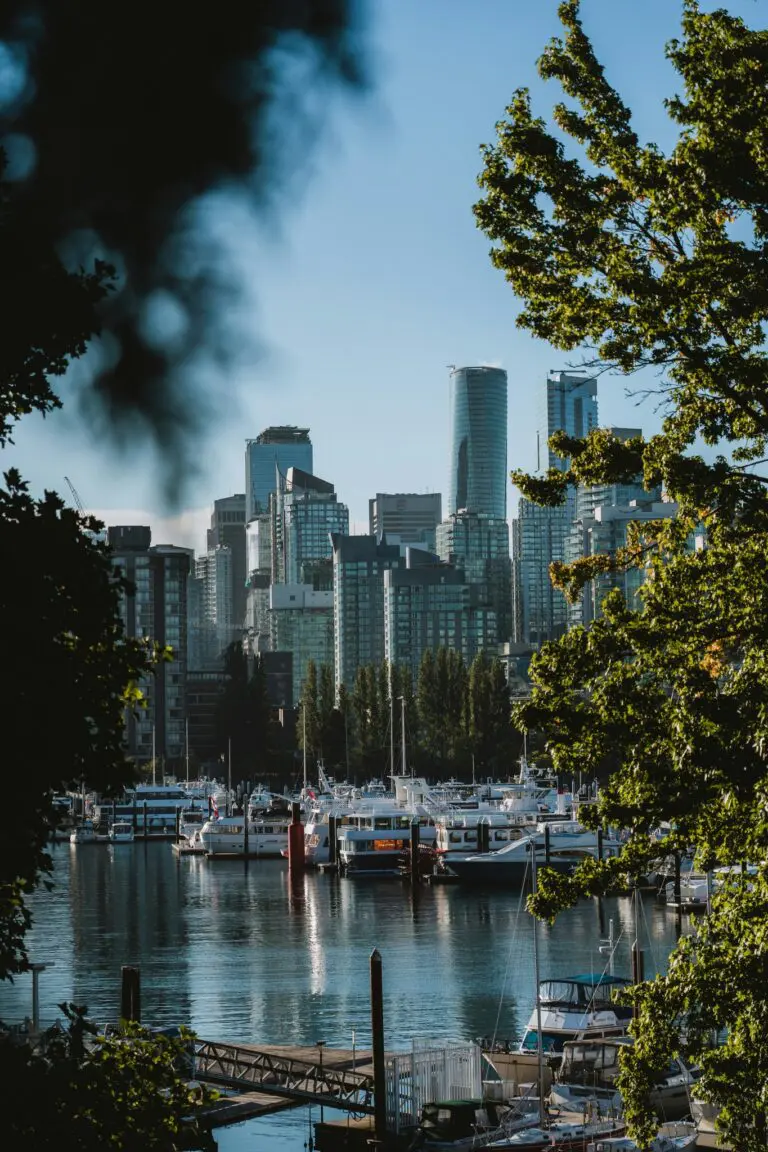Vancouver city skyline and marina framed by green trees