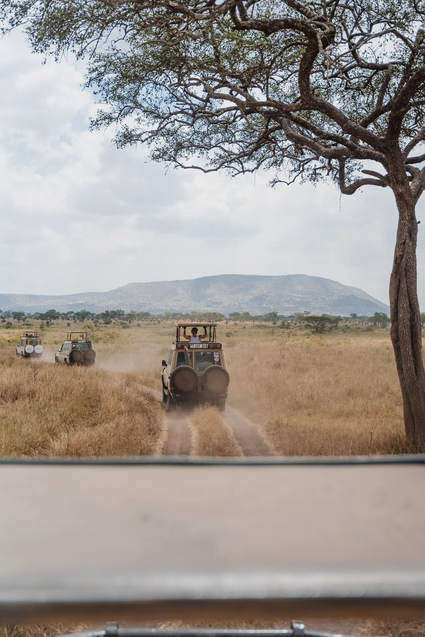 safari jeeps driving through dry savanna landscape