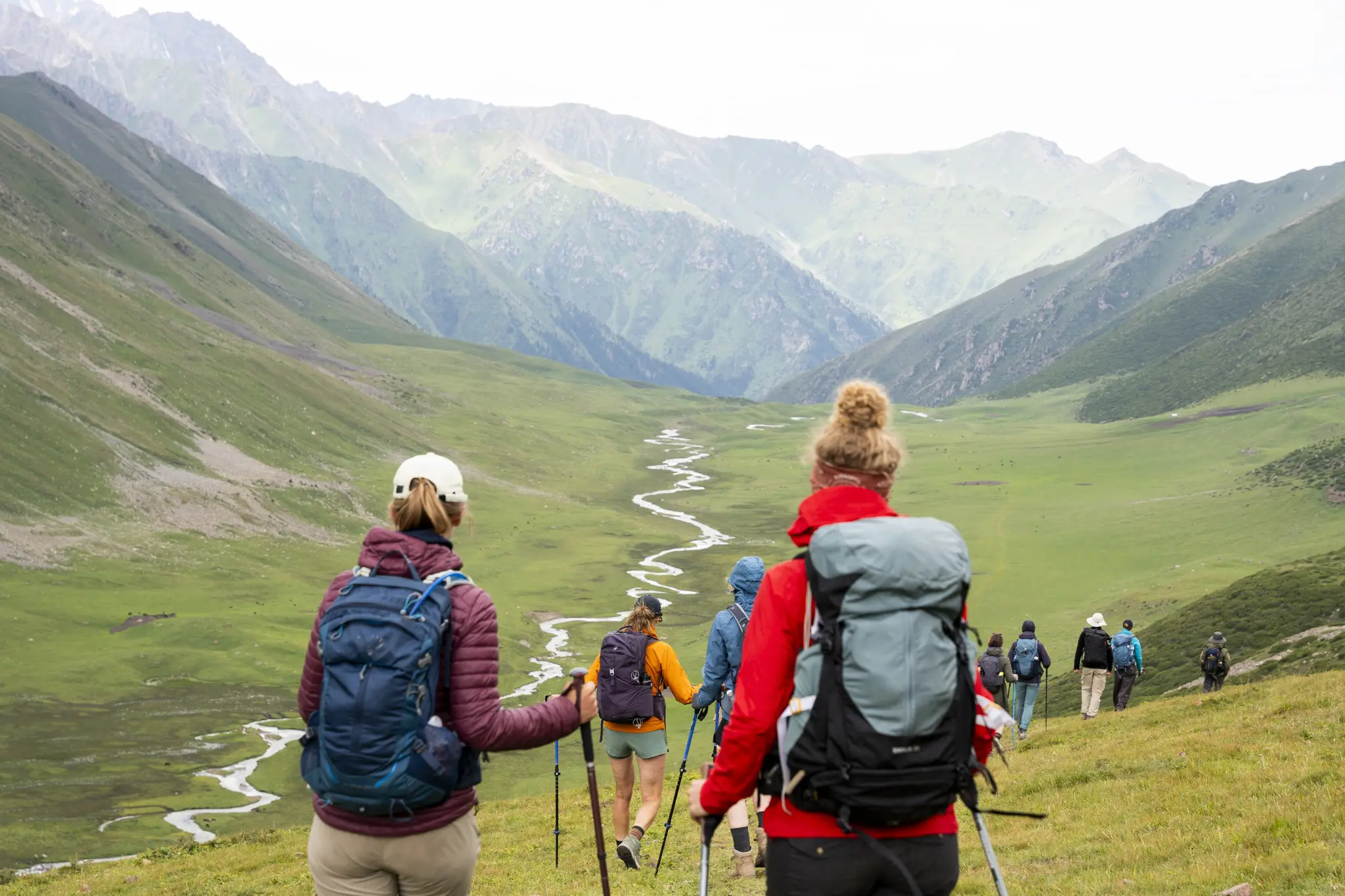 hikers with backpacks and trekking poles in a green mountain valley