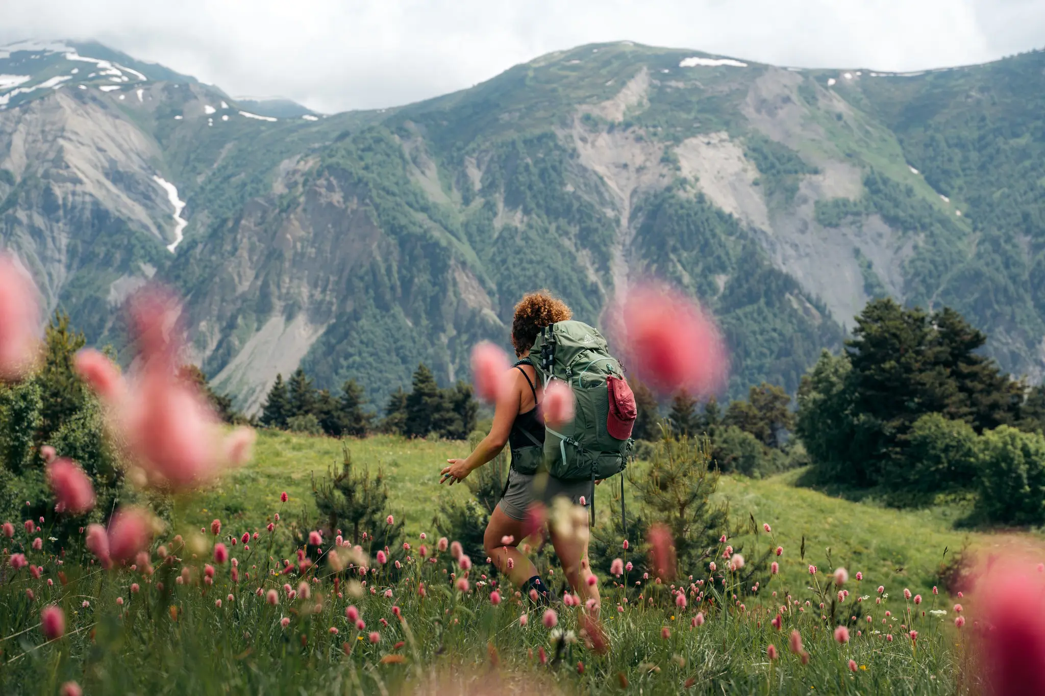 hiker with backpack walking through a field of pink flowers in mountains