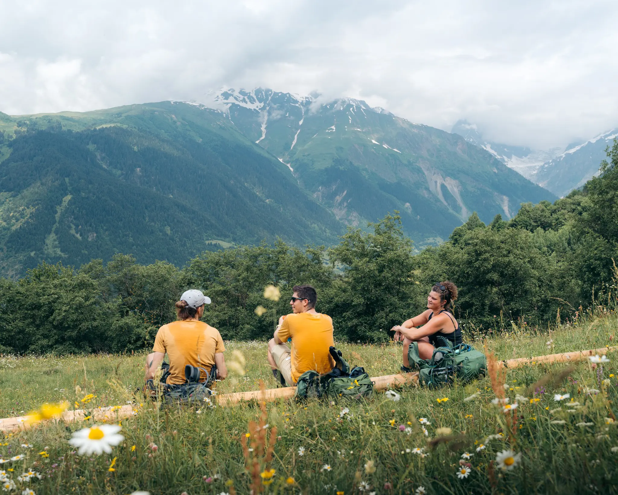 three hikers resting on a log in a mountain meadow