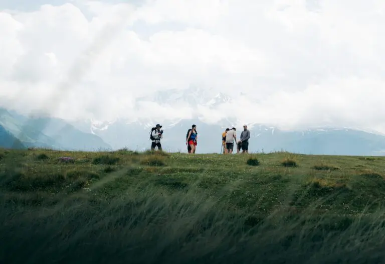 group of hikers on a grassy hill with snowy mountains
