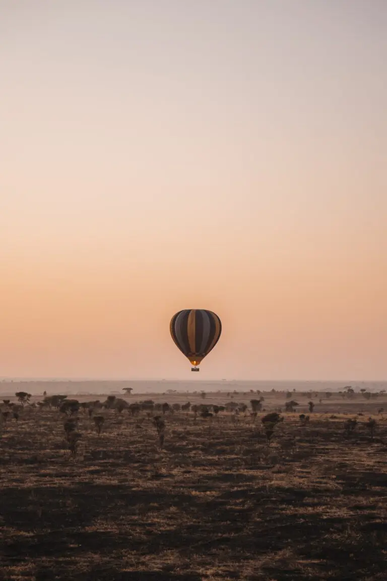 hot air balloon over african savanna at sunrise
