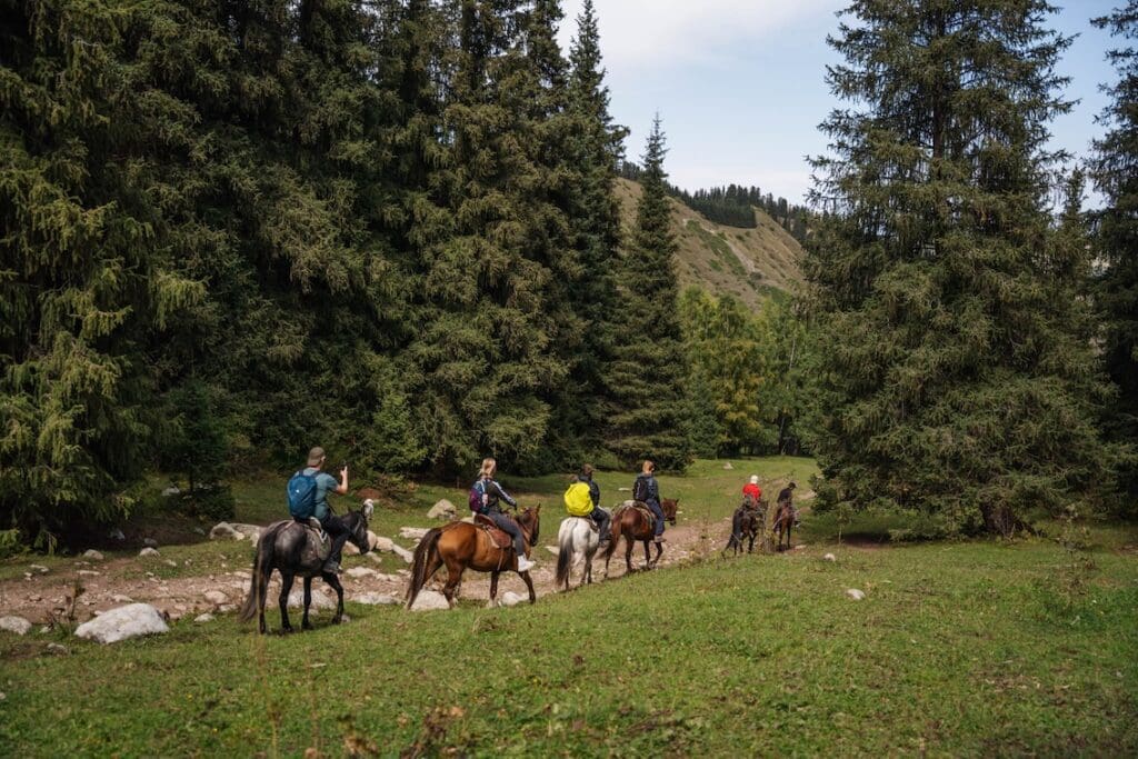 Horse in karakol