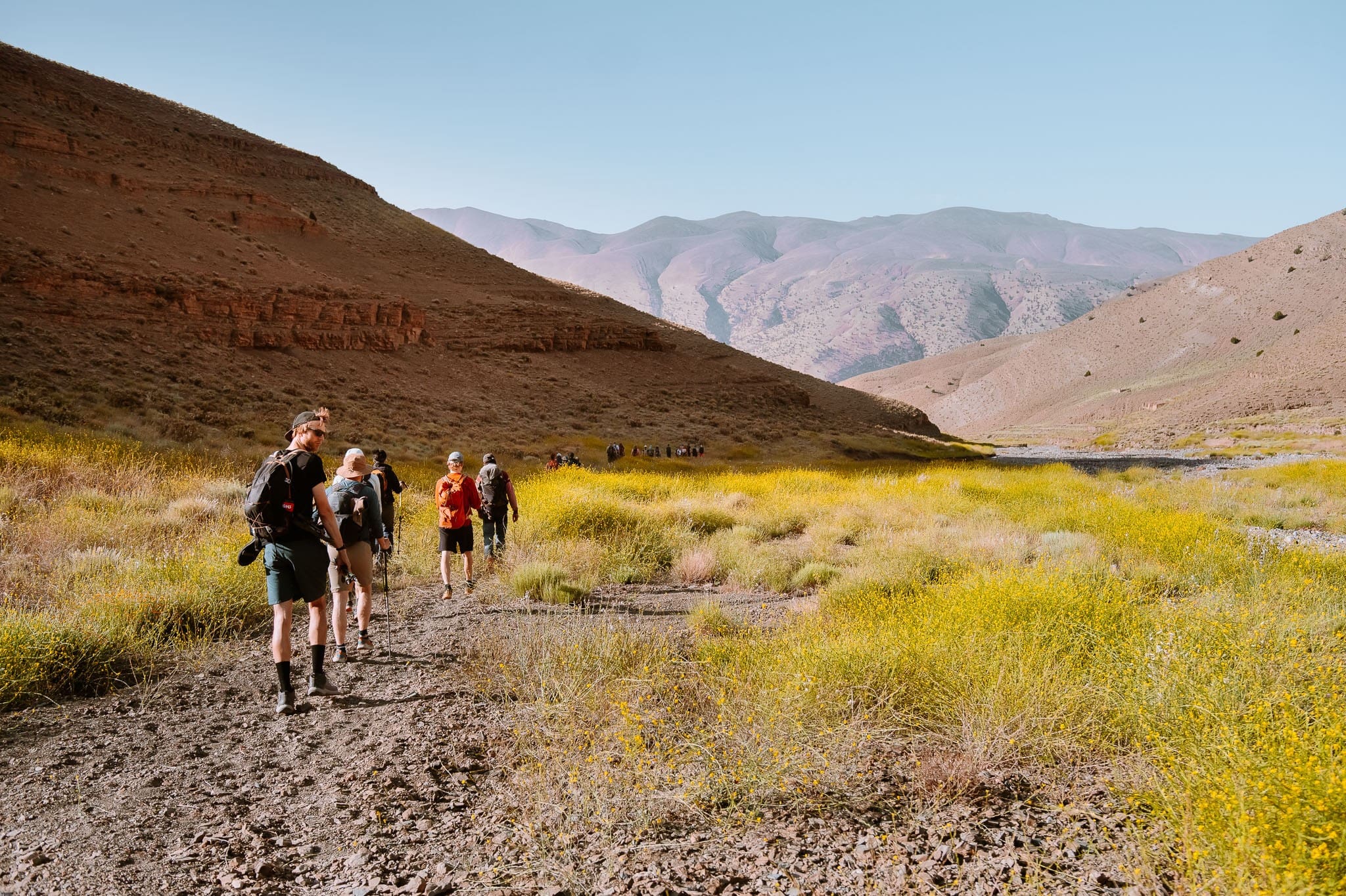group of hikers walking through a yellow flower valley in the Atlas Mountains
