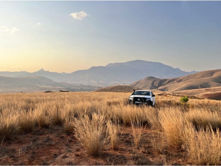 MADN - voiture dans la savane