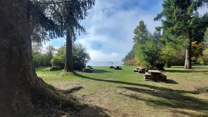 picnic tables on a grassy field by a lake with trees
